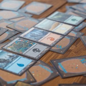 Basic Land Proxy Pack 40x Each